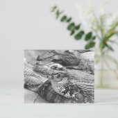 Proud Amazonian Baby Crocodile Postkarte (Stehend Vorderseite)