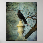 Proud American Crow Poster (Vorne)