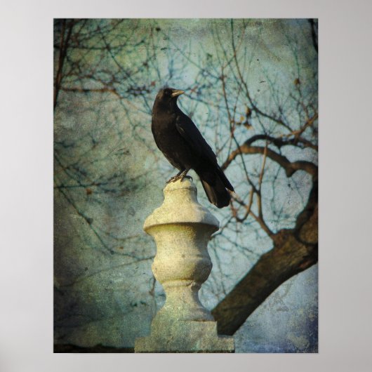 Proud American Crow Poster (Vorne)