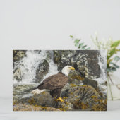 Proud Bald Eagle Briefpapier (Stehend Vorderseite)