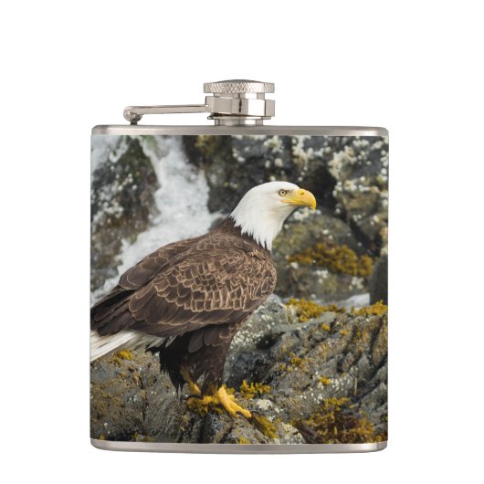 Proud Bald Eagle Flachmann (Vorderseite)