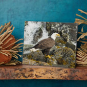 Proud Bald Eagle Fotoplatte (Seite)
