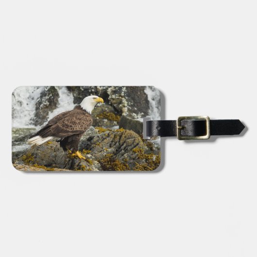 Proud Bald Eagle Gepäckanhänger (Vorderseite horizontal)