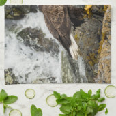 Proud Bald Eagle Geschirrtuch (Gefaltet)