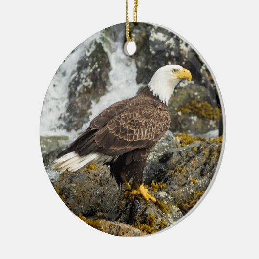 Proud Bald Eagle Keramik Ornament (Links)