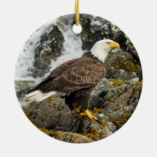 Proud Bald Eagle Keramik Ornament (Hinten)