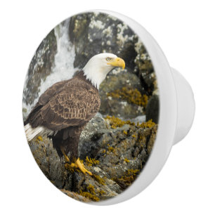 Proud Bald Eagle Keramikknauf