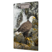 Proud Bald Eagle Klemmbrett (Links)