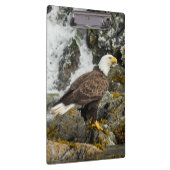 Proud Bald Eagle Klemmbrett (Rechts)