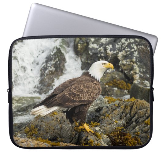 Proud Bald Eagle Laptopschutzhülle (Vorderseite)