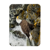 Proud Bald Eagle Magnet (Vertikal)