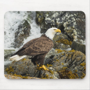 Proud Bald Eagle Mousepad