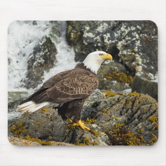 Proud Bald Eagle Mousepad (Vorne)
