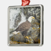 Proud Bald Eagle Ornament Aus Metall (Links)