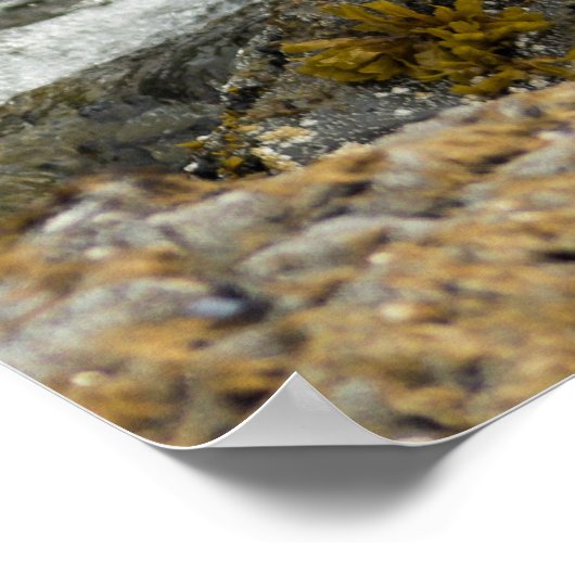 Proud Bald Eagle Poster (Ecke)