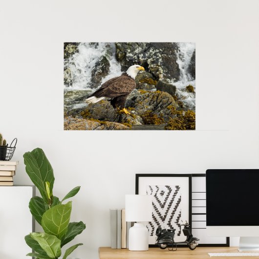 Proud Bald Eagle Poster (Heimbüro)
