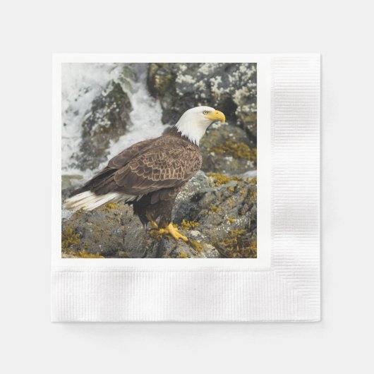 Proud Bald Eagle Serviette (Vorderseite)