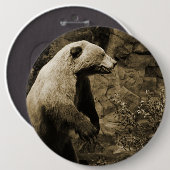 Proud Bear Button (Vorne & Hinten)