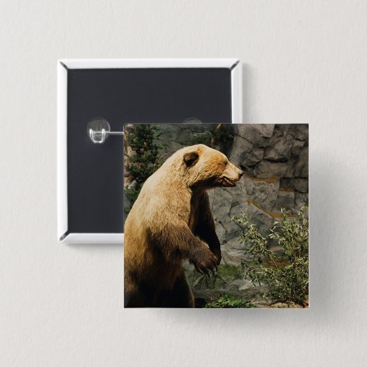 Proud Bear Button (Vorne & Hinten)