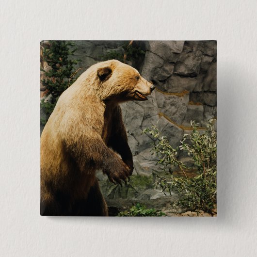 Proud Bear Button (Vorderseite)