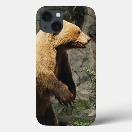 Proud Bear Case-Mate iPhone Hülle (Rückseite)