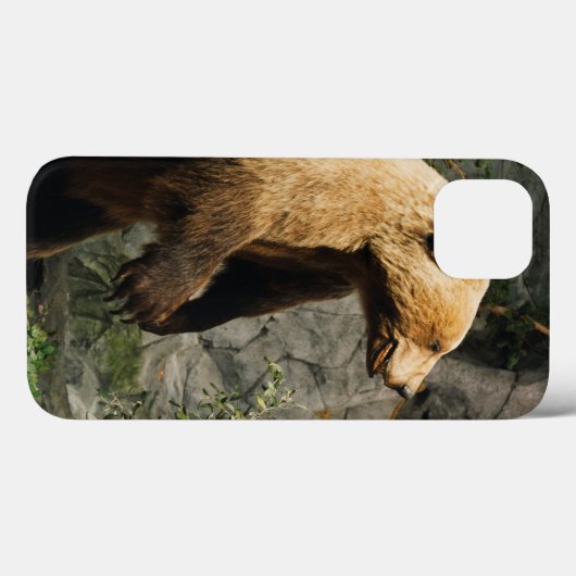 Proud Bear Case-Mate iPhone Hülle (Rückseite (Horizontal))
