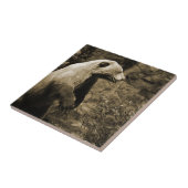 Proud Bear Fliese (Seite)