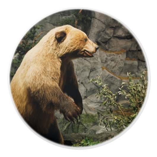 Proud Bear Keramikknauf (Vorderseite)