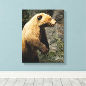 Proud Bear Leinwanddruck (Insitu (Holzboden))