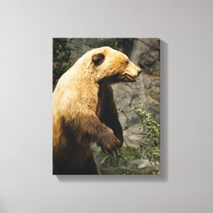 Proud Bear Leinwanddruck