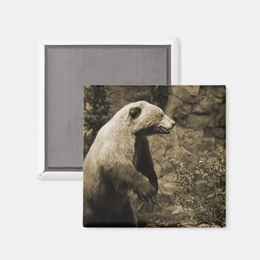 Proud Bear Magnet (Vorderseite/Rückseite)