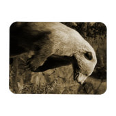 Proud Bear Magnet (Horizontal)