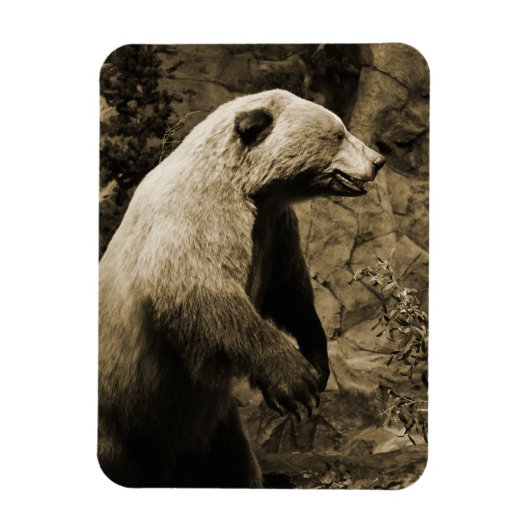 Proud Bear Magnet (Vertikal)