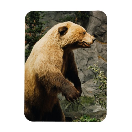 Proud Bear Magnet (Vertikal)
