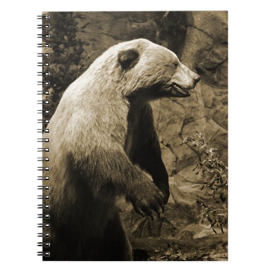 Proud Bear Notizblock (Vorderseite)