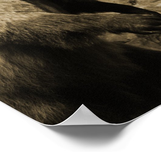 Proud Bear Poster (Ecke)