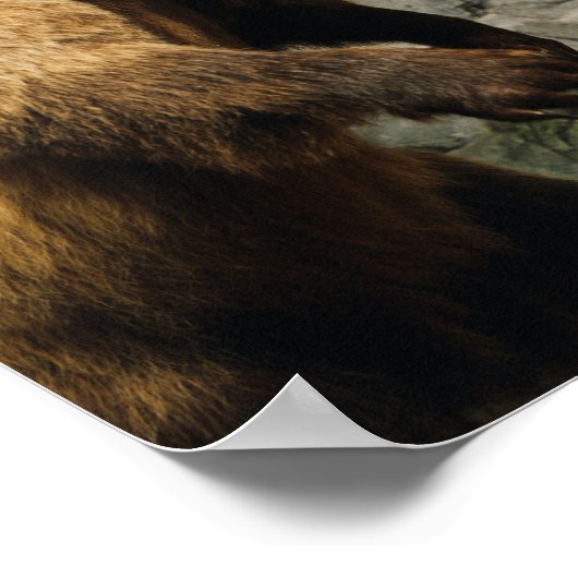 Proud Bear Poster (Ecke)