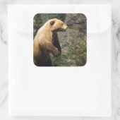 Proud Bear Quadratischer Aufkleber (Tasche)