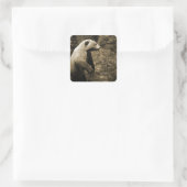 Proud Bear Quadratischer Aufkleber (Tasche)