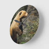 Proud Bear Runde Wanduhr (Winkel)