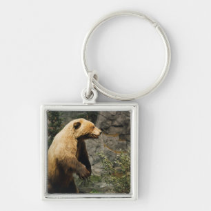 Proud Bear Schlüsselanhänger