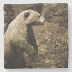 Proud Bear Steinuntersetzer