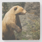 Proud Bear Steinuntersetzer (Vorderseite)