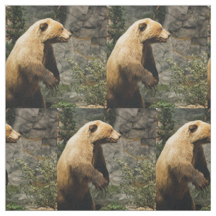 Proud Bear Stoff