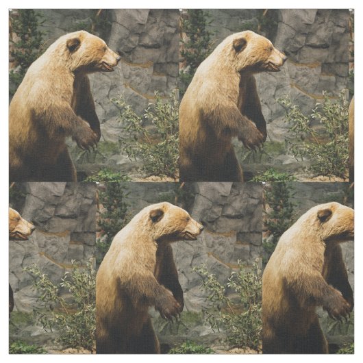 Proud Bear Stoff (Muster)