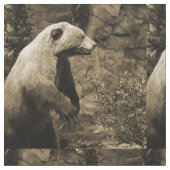 Proud Bear Stoff (Nahaufnahme)