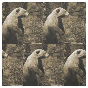 Proud Bear Stoff