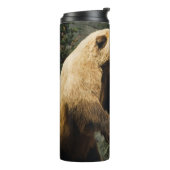 Proud Bear Thermosbecher (Nach links gedreht)