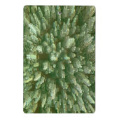 Proud Bird Nerd Silhouette Brown Green Vogelbeobac Mini Klemmbrett (Rückseite)