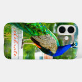 Proud Blue Green Peacock Foto feiert Zitat Case-Mate iPhone Hülle (Rückseite (Horizontal))